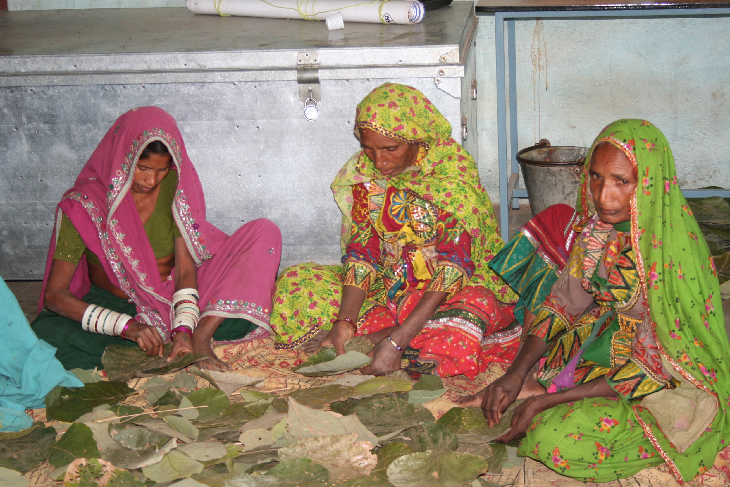 Sustainable Livelihood